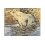 frosch-pferdekopf.jpg