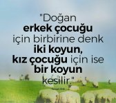 IMG_20171024_192713.jpg