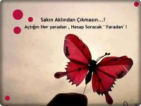 233609_Islam_Sozlern.jpg