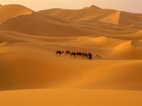 Sahara-Desert-Morocco.jpg