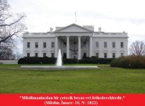 whitehouse2.jpg