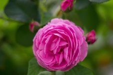 _DSC6882.jpg