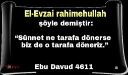 PicsArt_1417419921369.jpg
