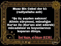 PicsArt_1418153819675.jpg