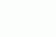 bayrak2.gif