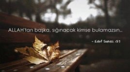 BfTlAp2IcAEr3m6.jpg