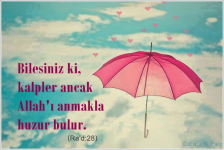 unnamed-5.png