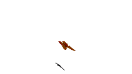 butterfly.gif