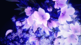 944a26b47044ba8e91f85c233038b330.gif