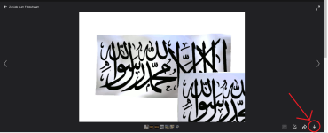 flickr-download.png