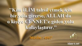 islami (16).jpg