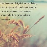 FB_IMG_1486914195953.jpg