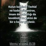 image-3.jpg