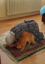 IMG_20161120_214307.jpg