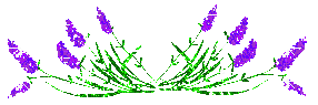 004 (1).gif