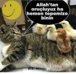 IMG-20170529-WA0000.jpg