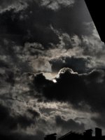 IMG_1386.JPG