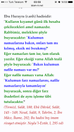 IMG_9850.PNG