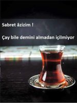 FB_IMG_1491489016107.jpg