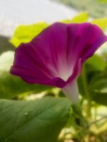 IMG_20170807_081030.jpg