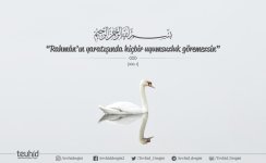 IMG_20170913_231839.jpg