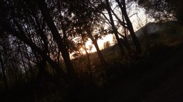 20170828_182957.jpg