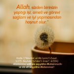 51673acee4ab935b4d76ad159e13680c.jpg