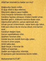 FB_IMG_1524227516462.jpg