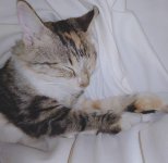 IMG-20191201-WA0001.jpg