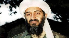 usame  yaz 15.jpg