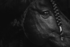 19638423-DA5B-4807-9FDD-D8042E3A489C.png