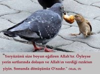 rızık.jpg