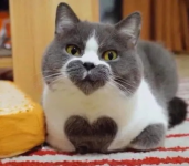 29291