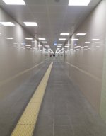 20220729_152920.jpg