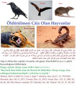 5 fasık.jpg