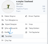 Ekran görüntüsü 2024-05-22 234930.png