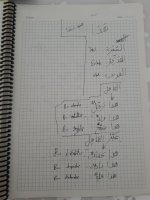 IMG_20240909_154405.jpg