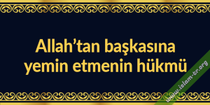 1726071141128.png 1726071141128.png