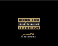 logo01_00000.png logo01_00000.png