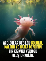 1761599196896.png 1761599196896.png