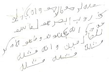 22072.jpg