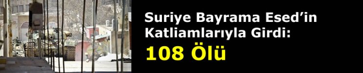 40774.jpg 40774.jpg