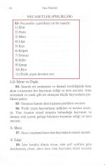 rp1nk.jpg