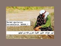IMG_40765916470271.jpeg