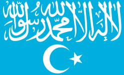 Flag_of_Turkistan_Islamic_Party.svg.png