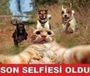 FB_IMG_1426824646356.jpg