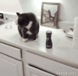 12-) Zarar vermekten çekinmezler.gif