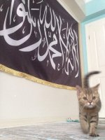 FB_IMG_1427057929792[1].jpg