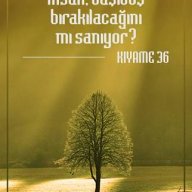 Havle
