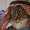 Kozanî